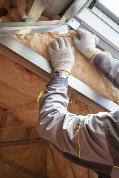 Best Cellulose Insulation  in Central Garage, VA